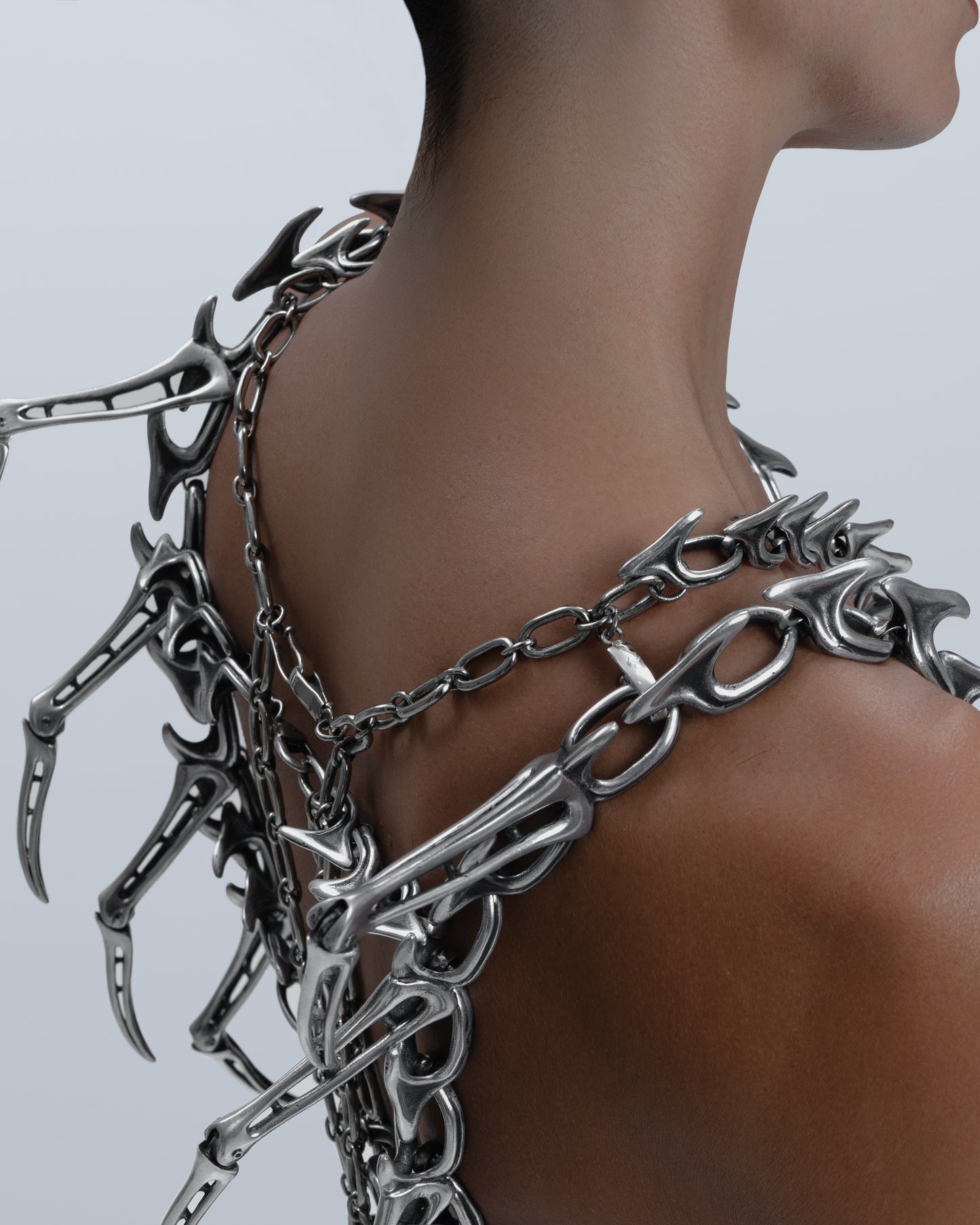 Armour of Goddess